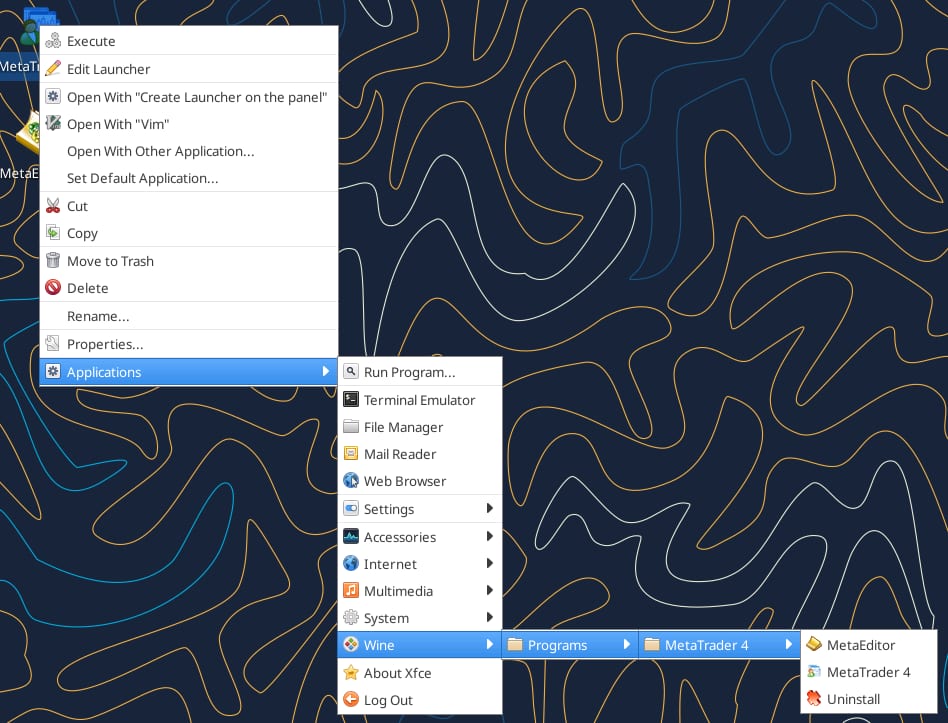 How to Use the MetaTrader VPS Template