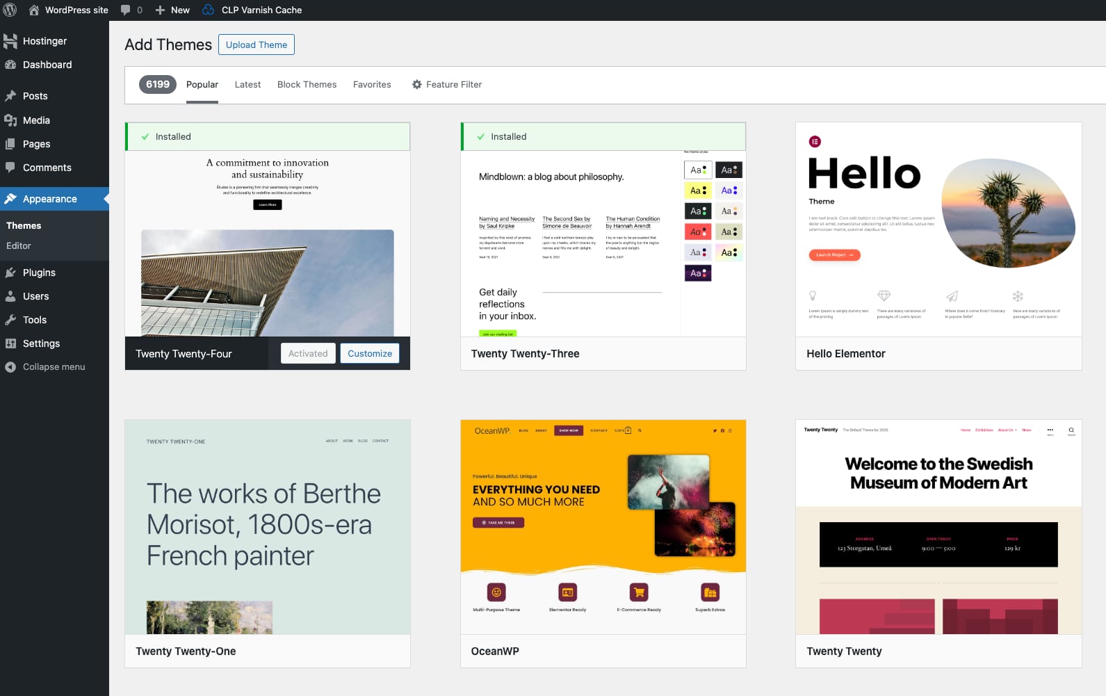 How to Use the WordPress VPS Template