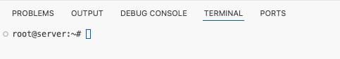 How to Use the VS Code VPS Template