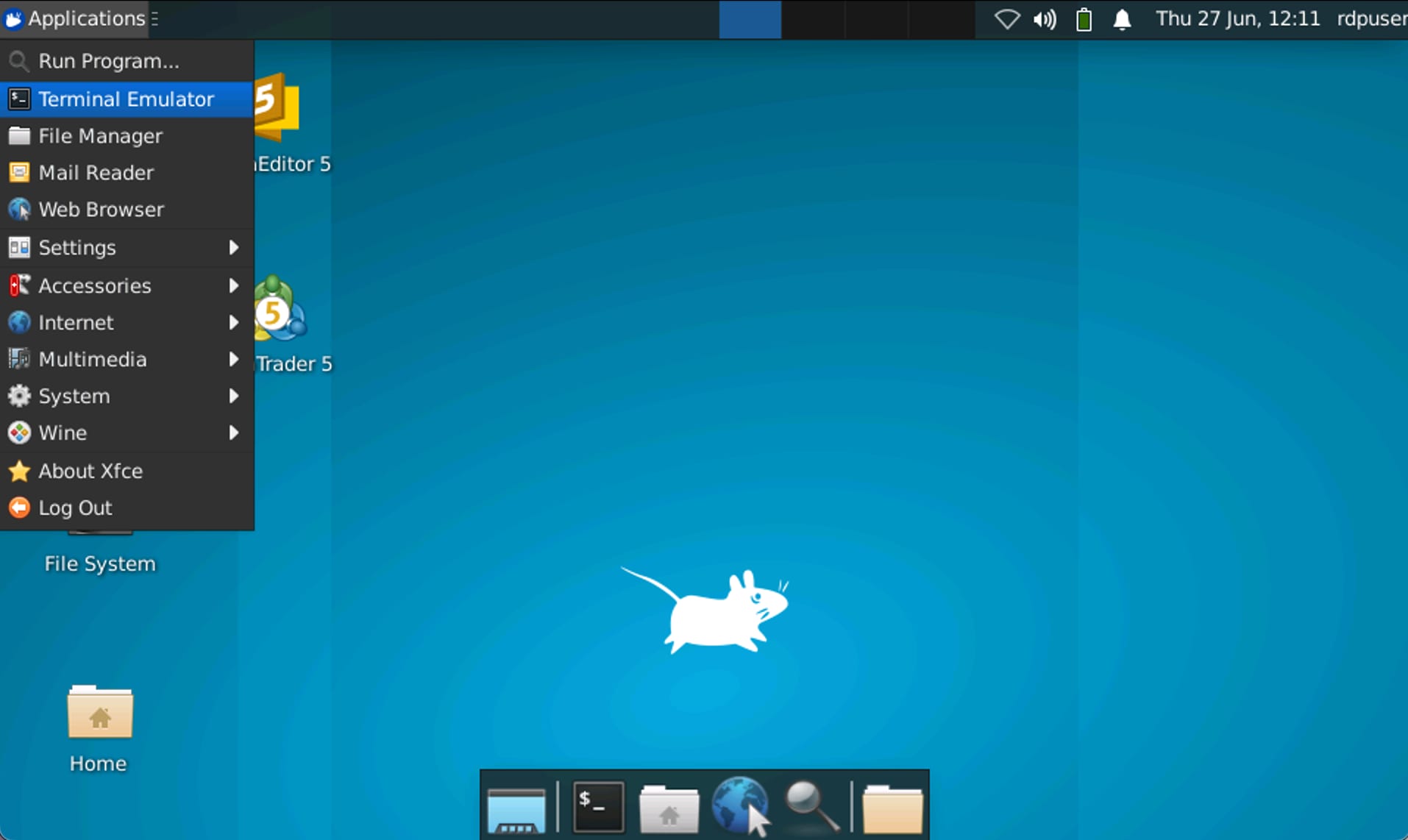 How to run MetaTrader 5 on Hallo-Webseite.de VPS How to run MetaTrader 5 on Hallo-Webseite.de VPS