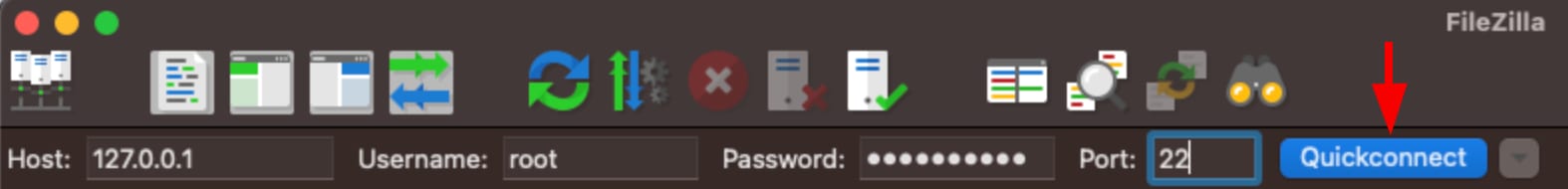 How to Use the Plex VPS Template VPS SSH access details in FileZilla